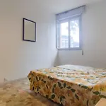 In 24555 ביביונה